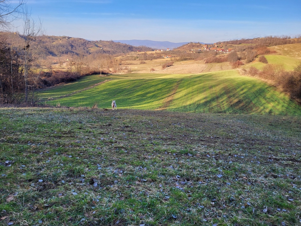 Izlet ’Požeškim brdom’ članova HPD ’Sokolovac’ Požega