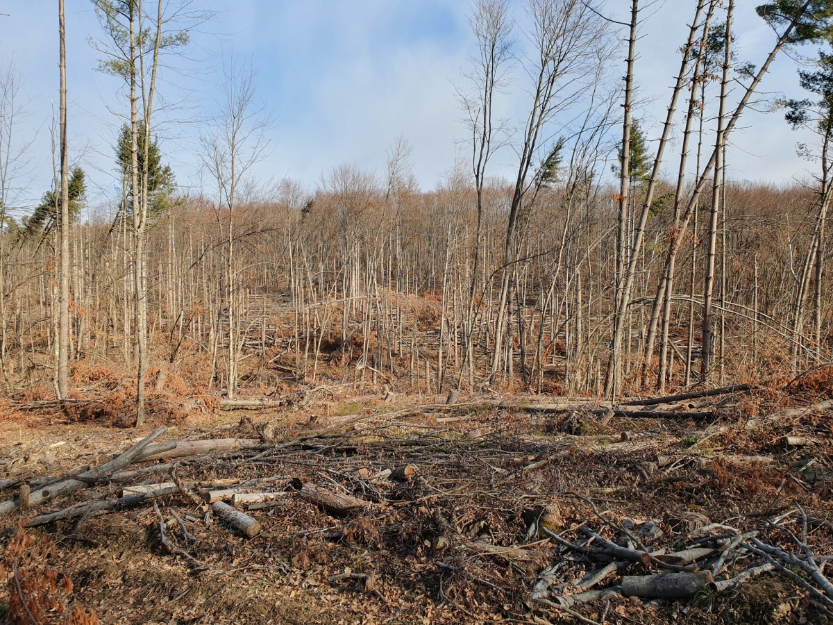 Izlet ’Požeškim brdom’ članova HPD ’Sokolovac’ Požega
