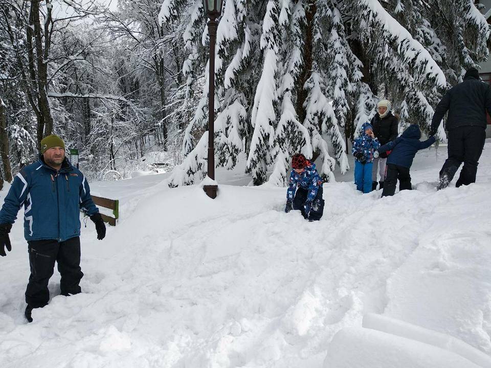Sanjkanje na Jankovcu