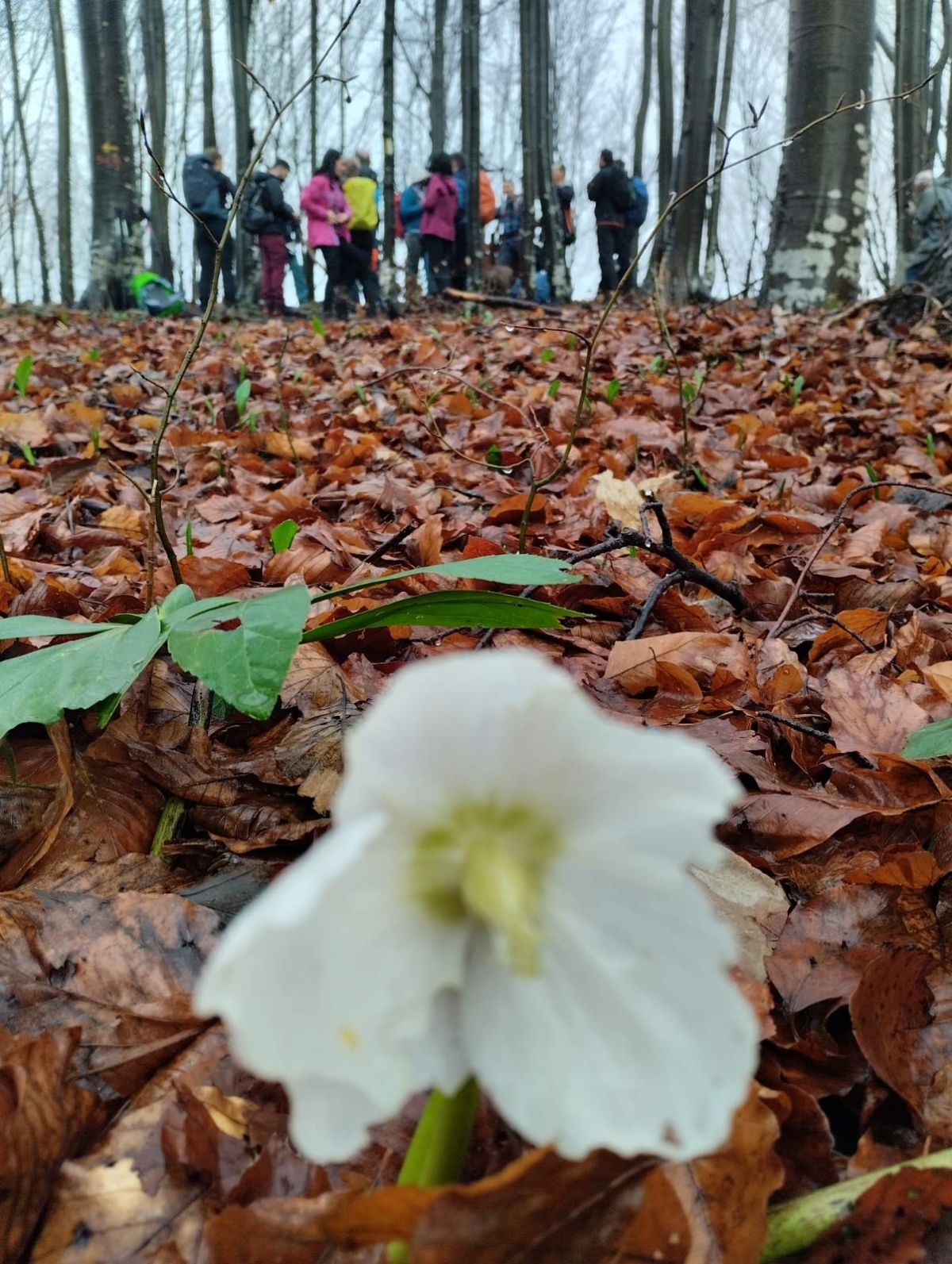 FOTO: Planinari HPD Gojzerica na izletu Samoborskim gorjem