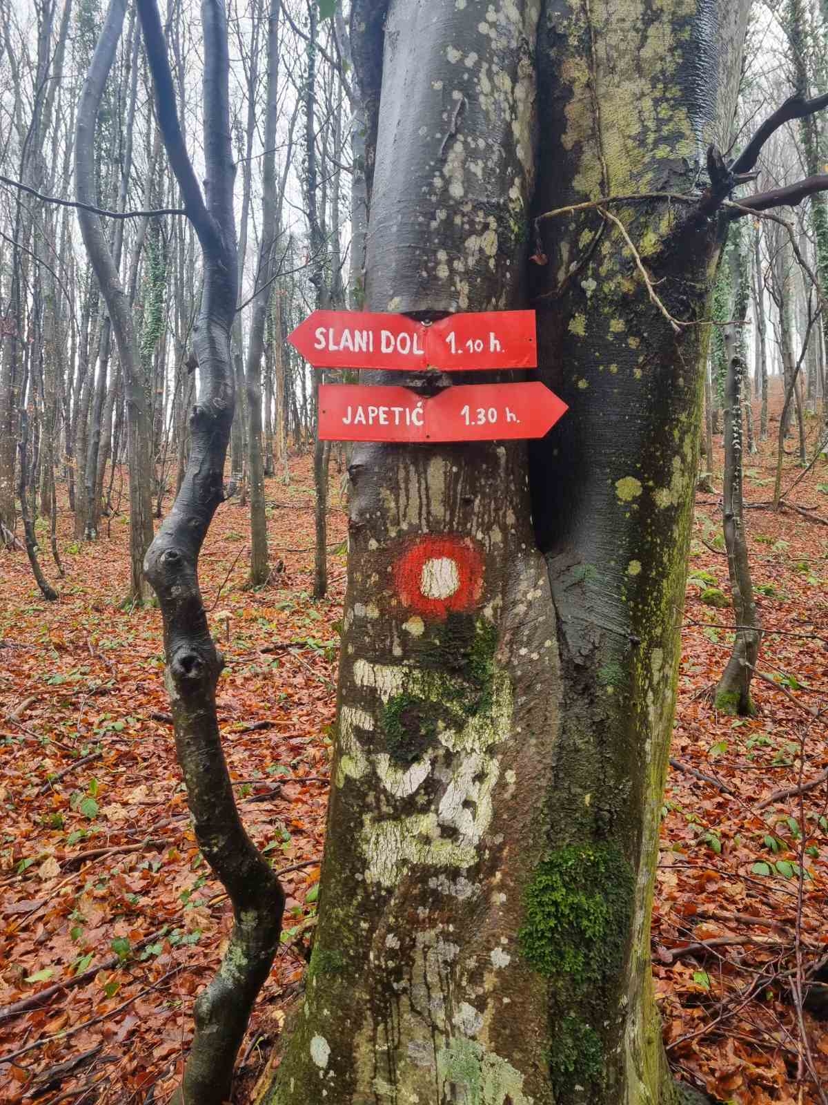 FOTO: Planinari HPD Gojzerica na izletu Samoborskim gorjem
