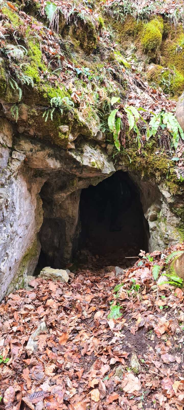 HPD GOJZERICA: Geološki izlet u Geoparku Papuk