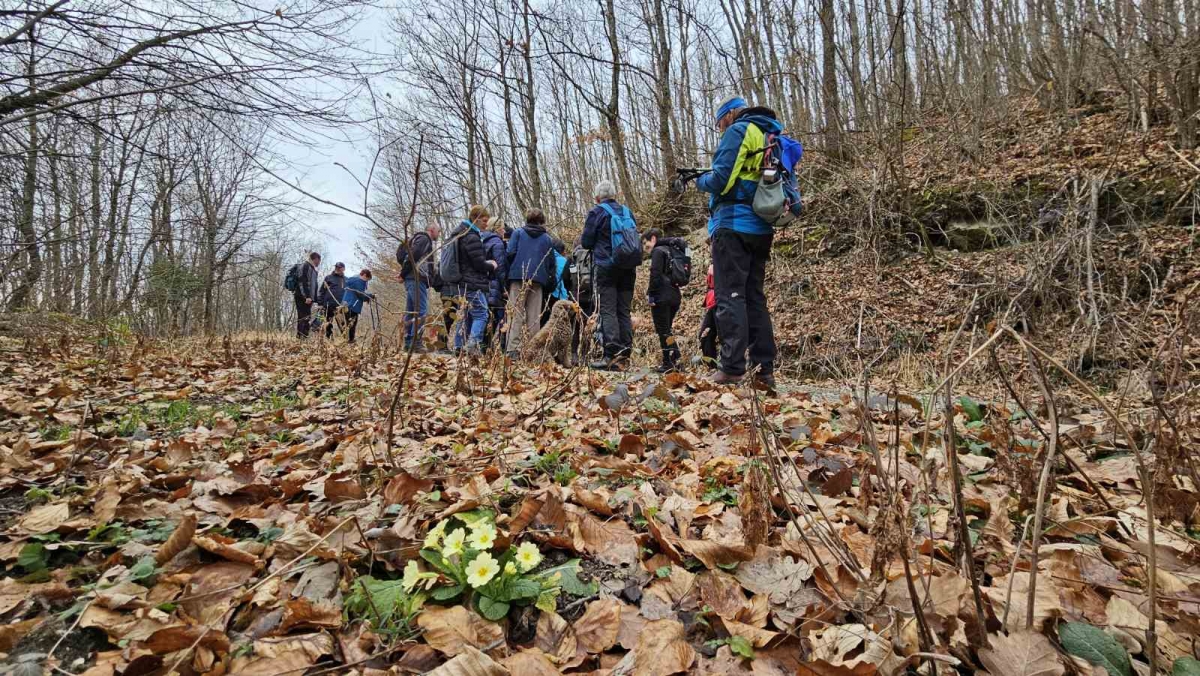 HPD GOJZERICA: Geološki izlet u Geoparku Papuk