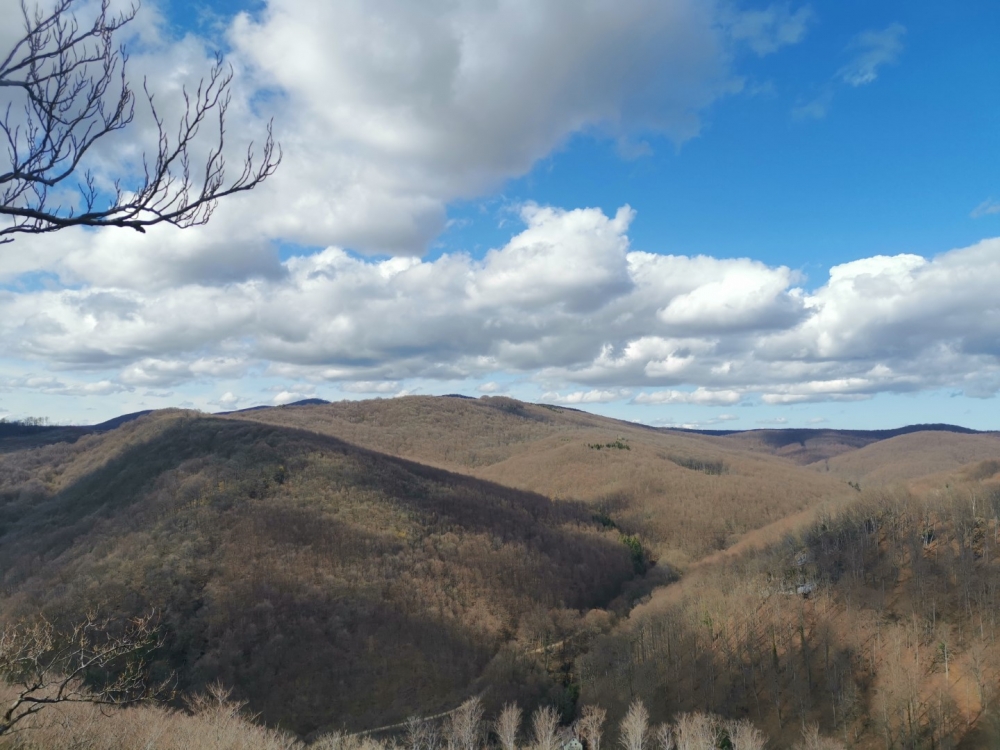 Velička Srimušijada: Više od 300 sudionika na jedinstvenom planinarskom događaju