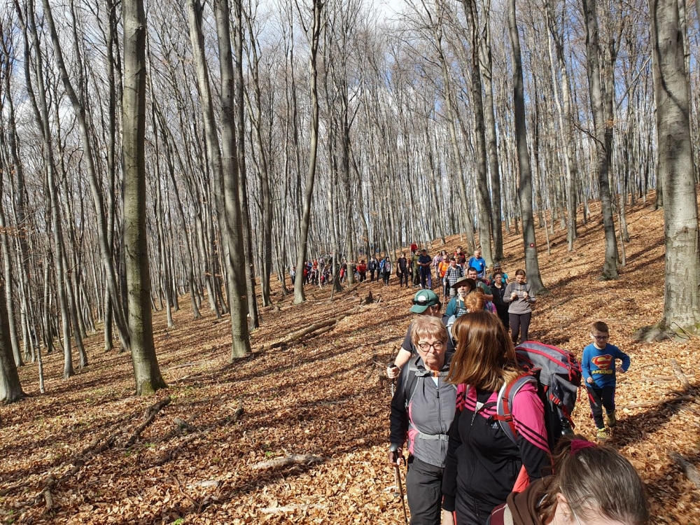 Velička Srimušijada: Više od 300 sudionika na jedinstvenom planinarskom događaju