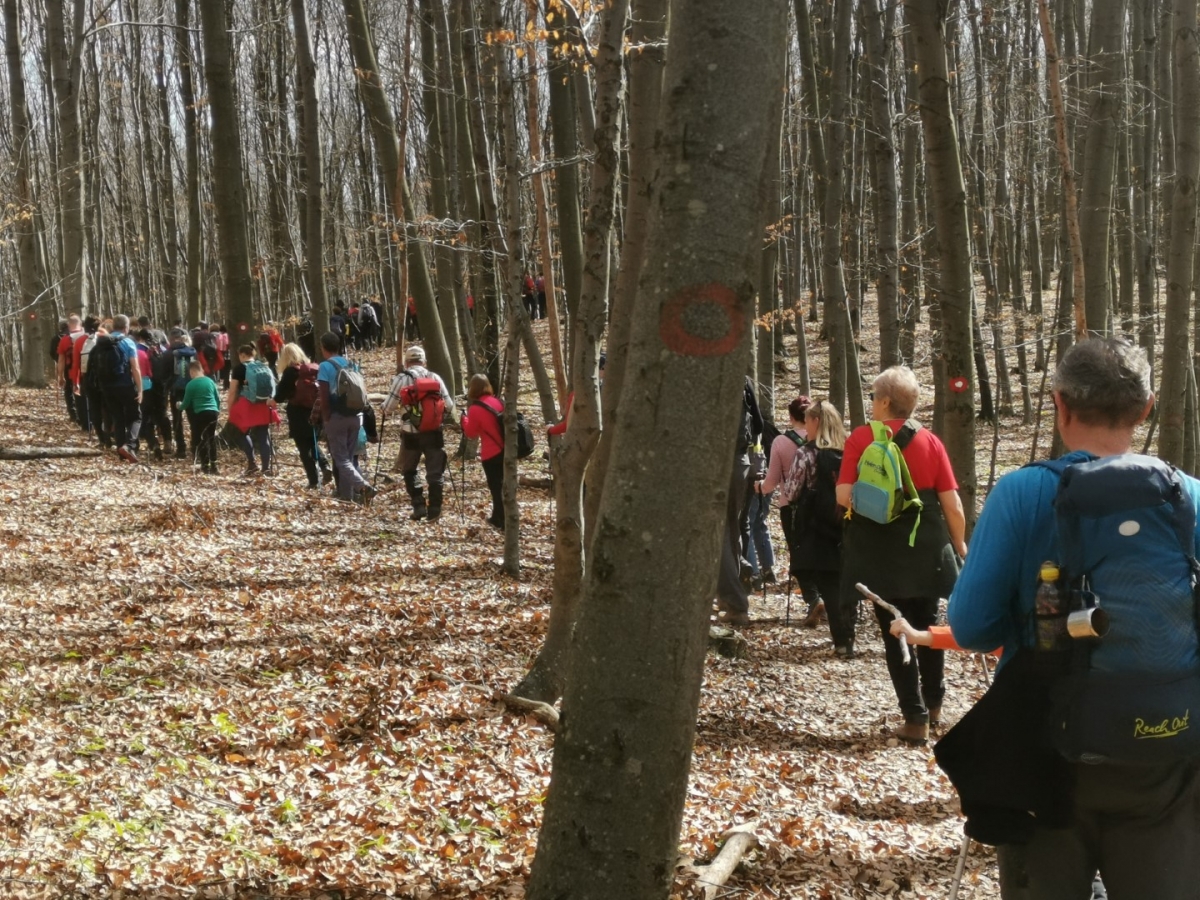 Velička Srimušijada: Više od 300 sudionika na jedinstvenom planinarskom događaju