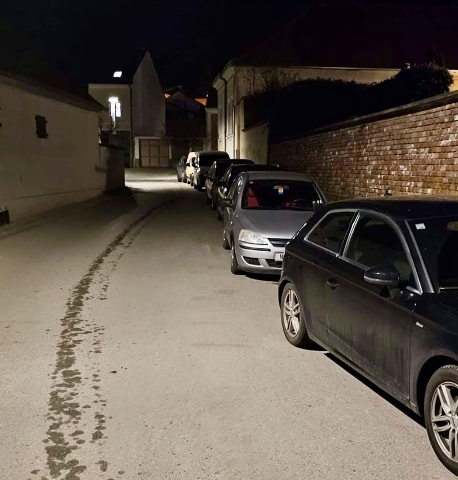 Nepropisno parkirani HDZ-ovci odlučuju o kandidatima za Sabor