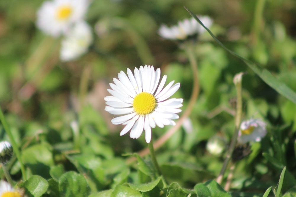 Danas pretežno sunčano s temperaturom do 15°C