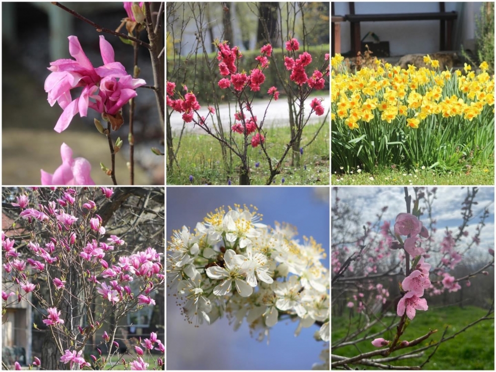 Evo zašto je proljeće došlo 20.ožujka, a ne 21.3. kako smo učili