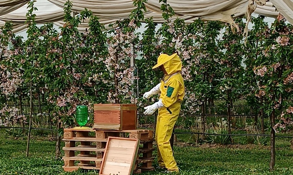 Nakon 65 godina u Poljoprivredno-prehrambenoj školi ponovno se kreće s uzgojem pčela