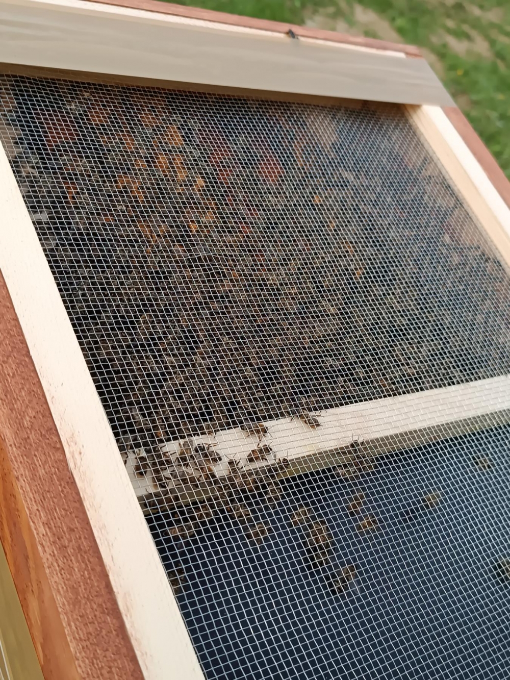 Nakon 65 godina u Poljoprivredno-prehrambenoj školi ponovno se kreće s uzgojem pčela