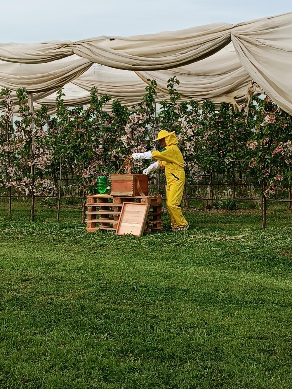 Nakon 65 godina u Poljoprivredno-prehrambenoj školi ponovno se kreće s uzgojem pčela