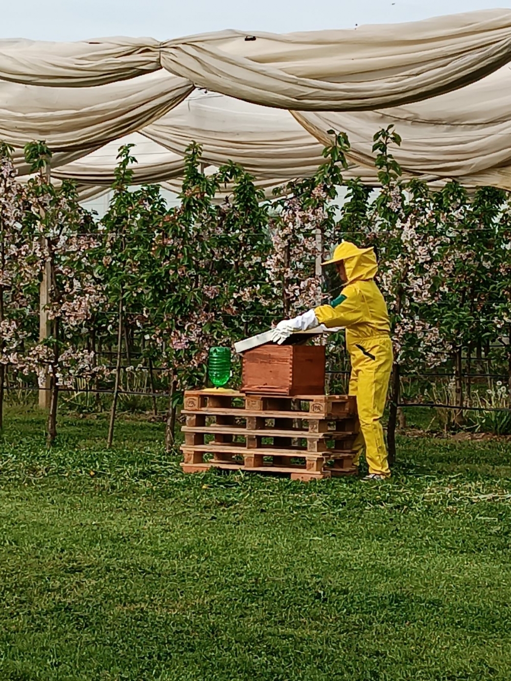 Nakon 65 godina u Poljoprivredno-prehrambenoj školi ponovno se kreće s uzgojem pčela