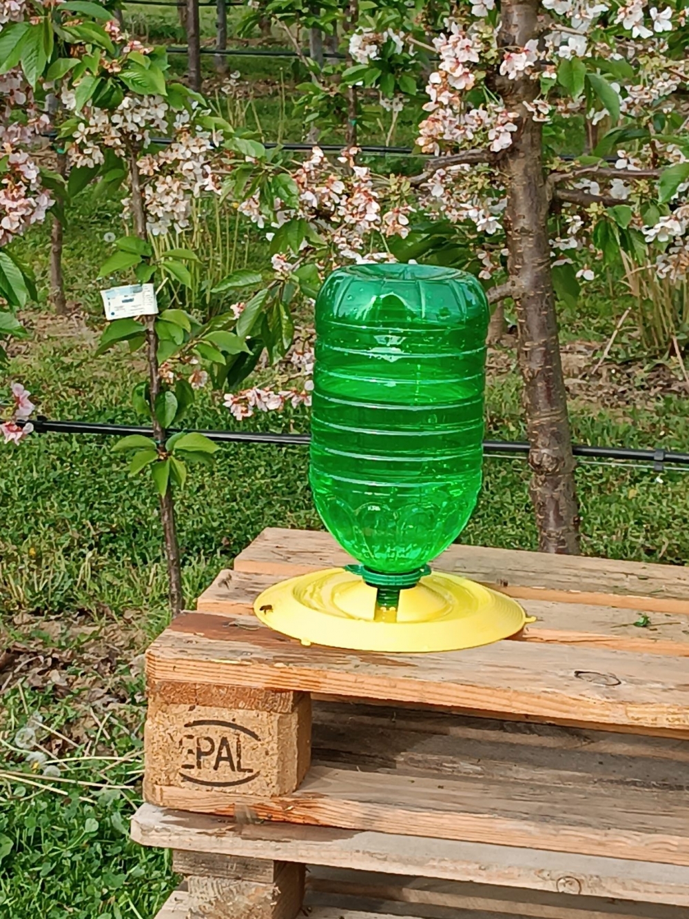 Nakon 65 godina u Poljoprivredno-prehrambenoj školi ponovno se kreće s uzgojem pčela