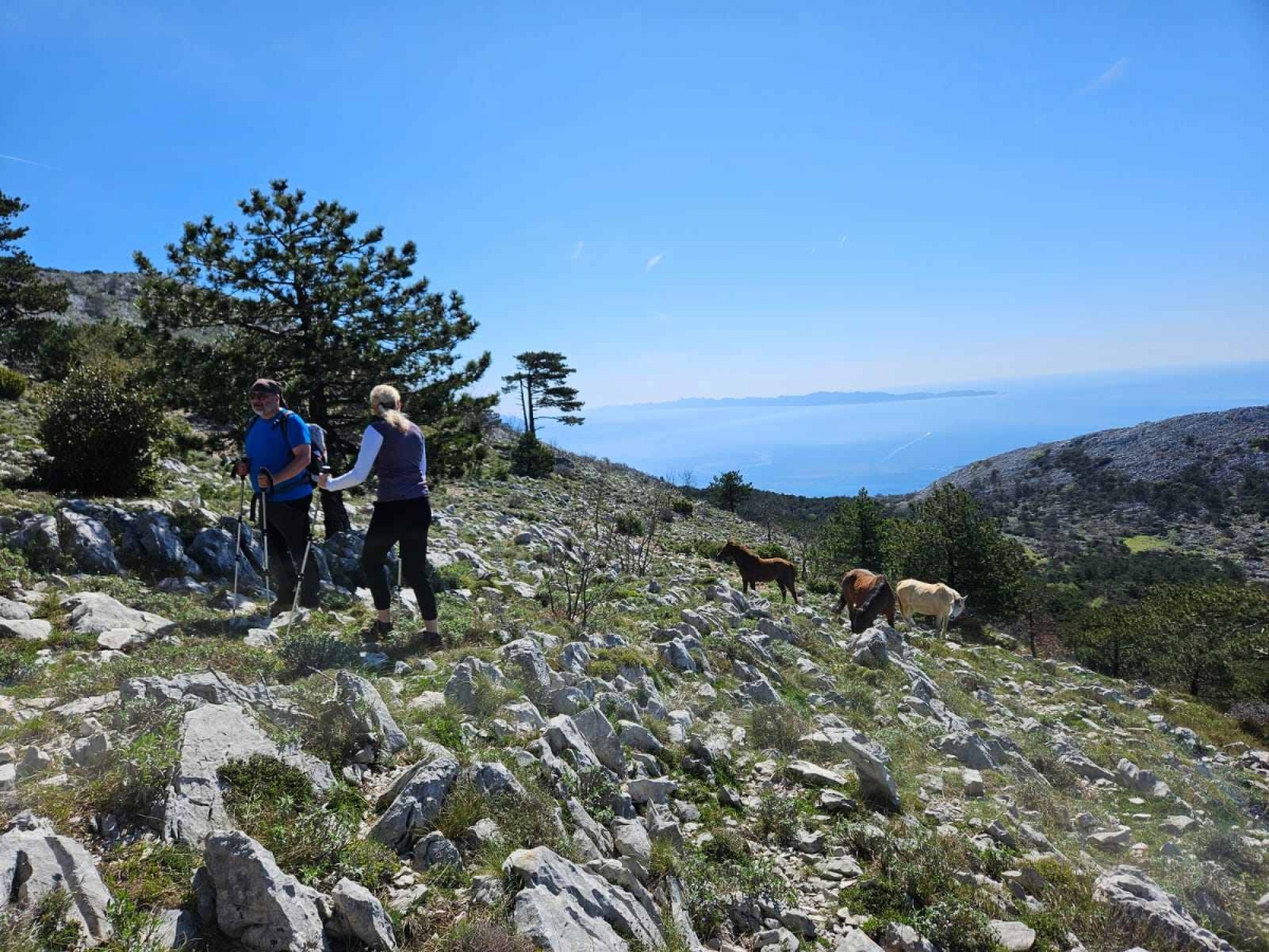 Izlet planinara HPD „Sokolovac“ Požega ʺSv. Ilija na Pelješcu i sv. Ilija kod Gradcaʺ