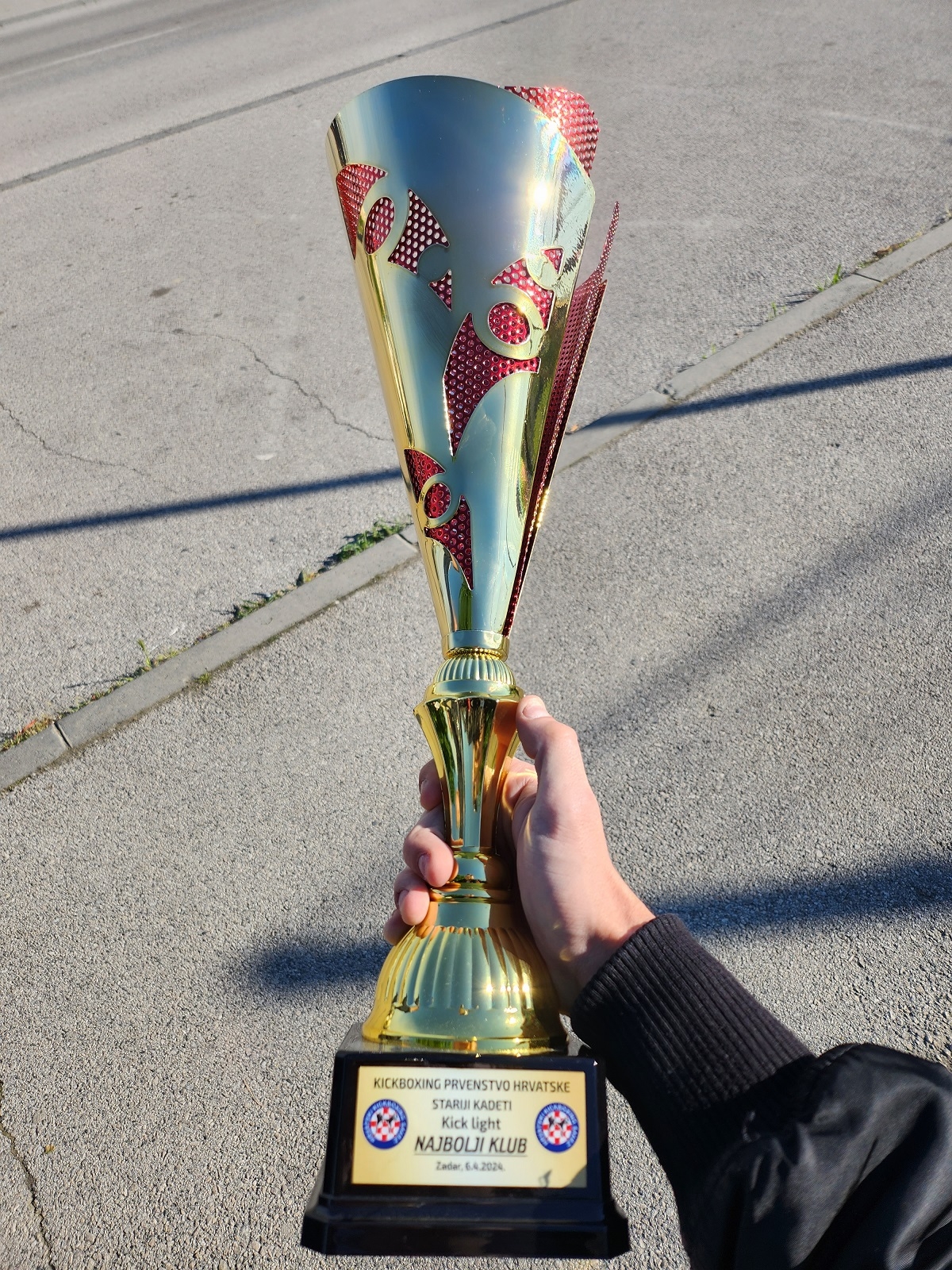 Ivano i Robert uspješni na Low Kick-u, Borac Požega najbolji klub Hrvatske u Kick Light-u!