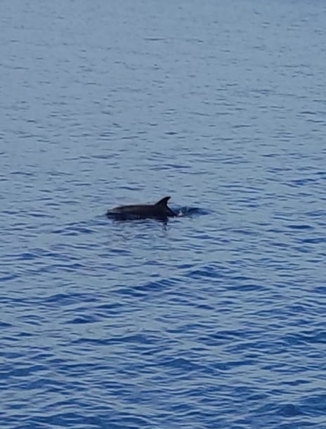 Izlet članova HPD ’Sokolovac’ Požega na Rab i Goli Otok