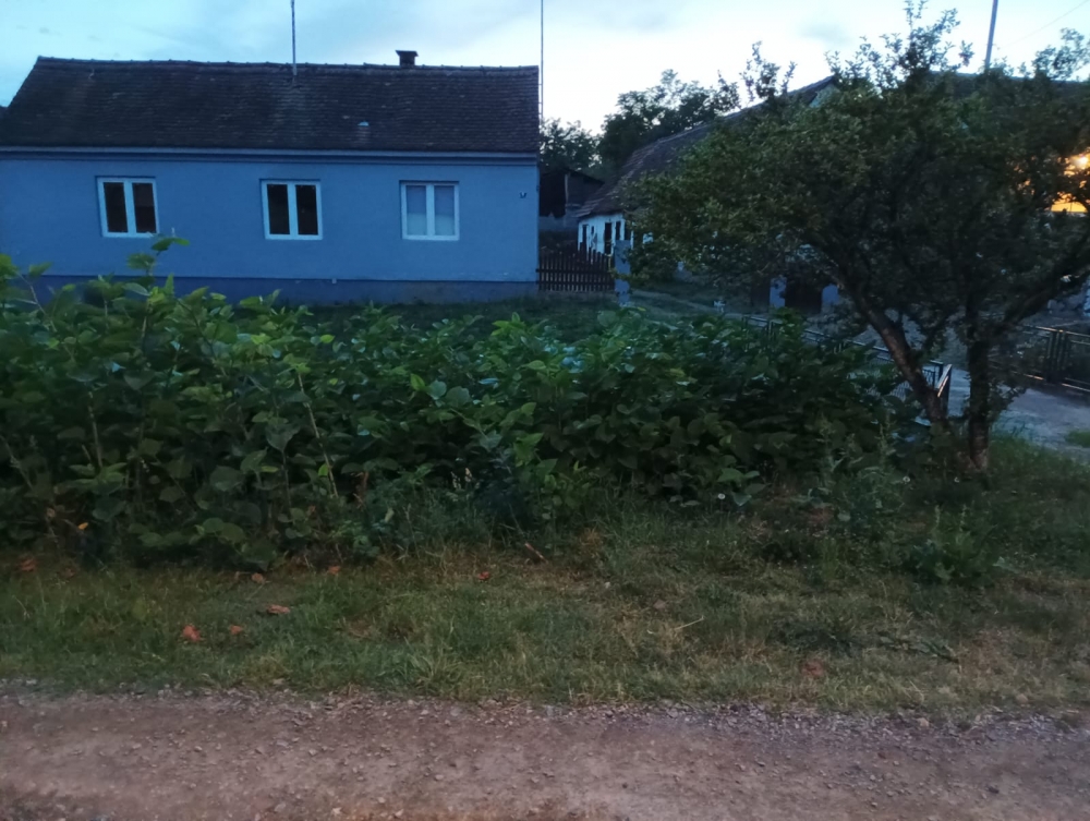 Još jedan apel građana: ’Ovaj kanal u blizini vrtića nije pokošen više od godine dana!’