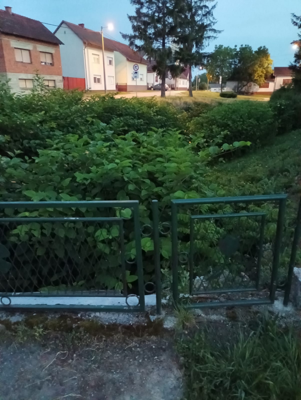 Još jedan apel građana: ’Ovaj kanal u blizini vrtića nije pokošen više od godine dana!’