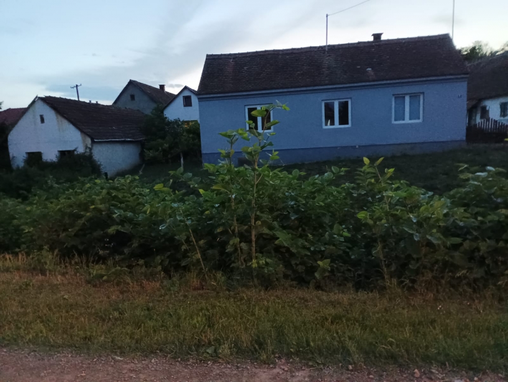 Još jedan apel građana: ’Ovaj kanal u blizini vrtića nije pokošen više od godine dana!’