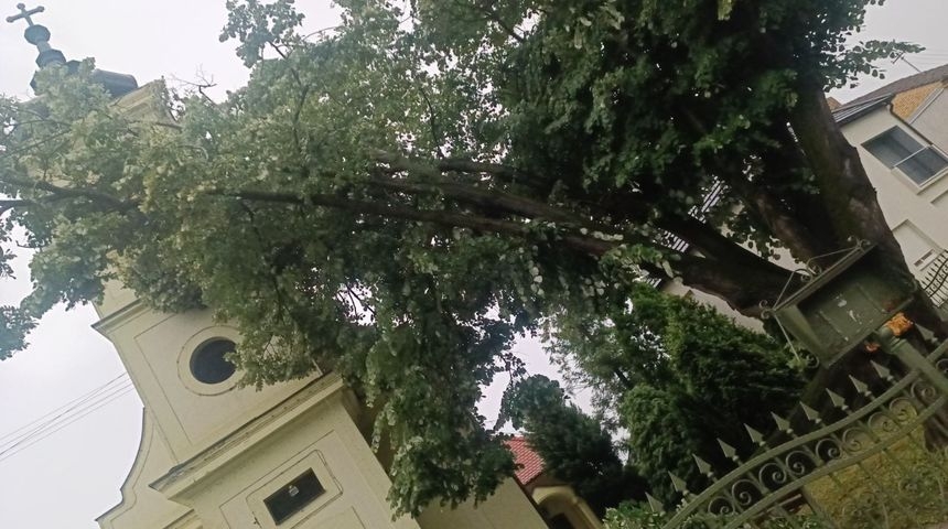 Tijekom jučerašnjeg nevremena na crkvu palo stablo