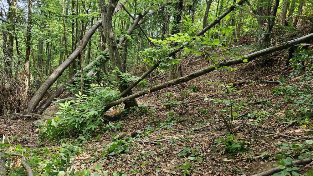 Šuma bez tragova – još jedna ekološka akcija HPD Gojzerica Požega