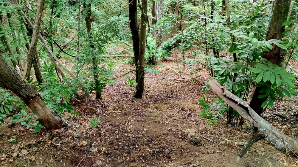 Šuma bez tragova – još jedna ekološka akcija HPD Gojzerica Požega