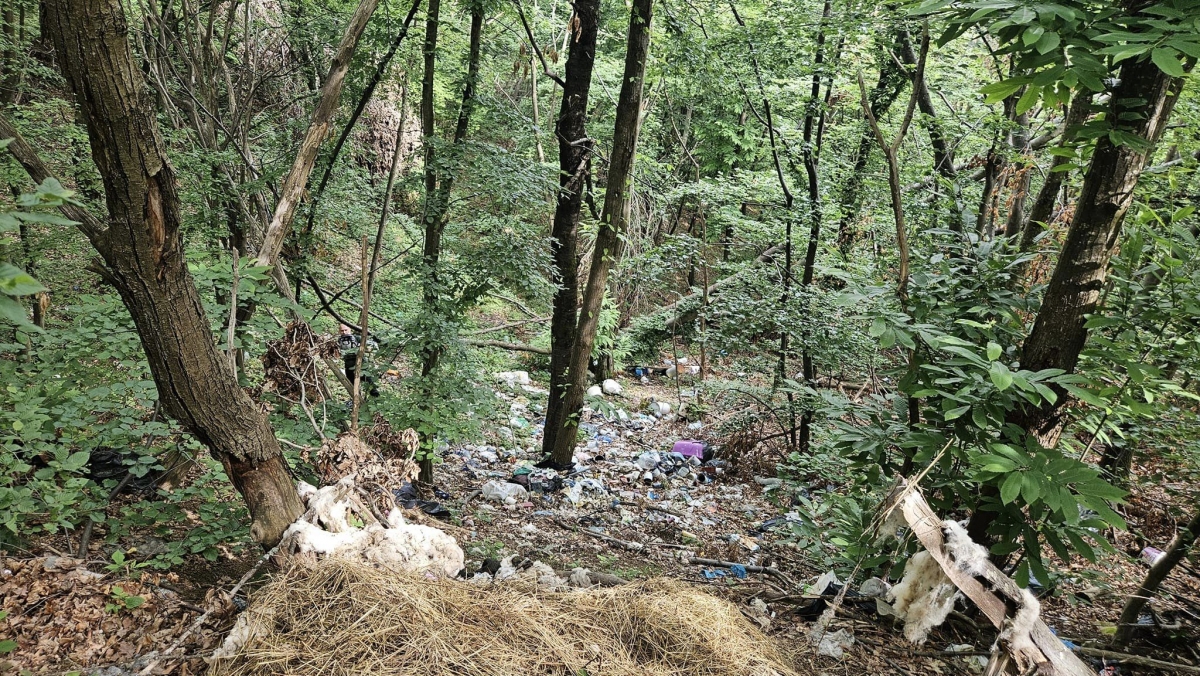 Šuma bez tragova – još jedna ekološka akcija HPD Gojzerica Požega