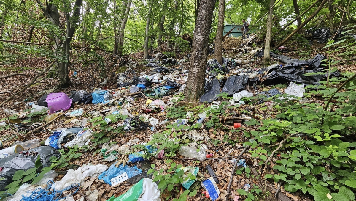 Šuma bez tragova – još jedna ekološka akcija HPD Gojzerica Požega