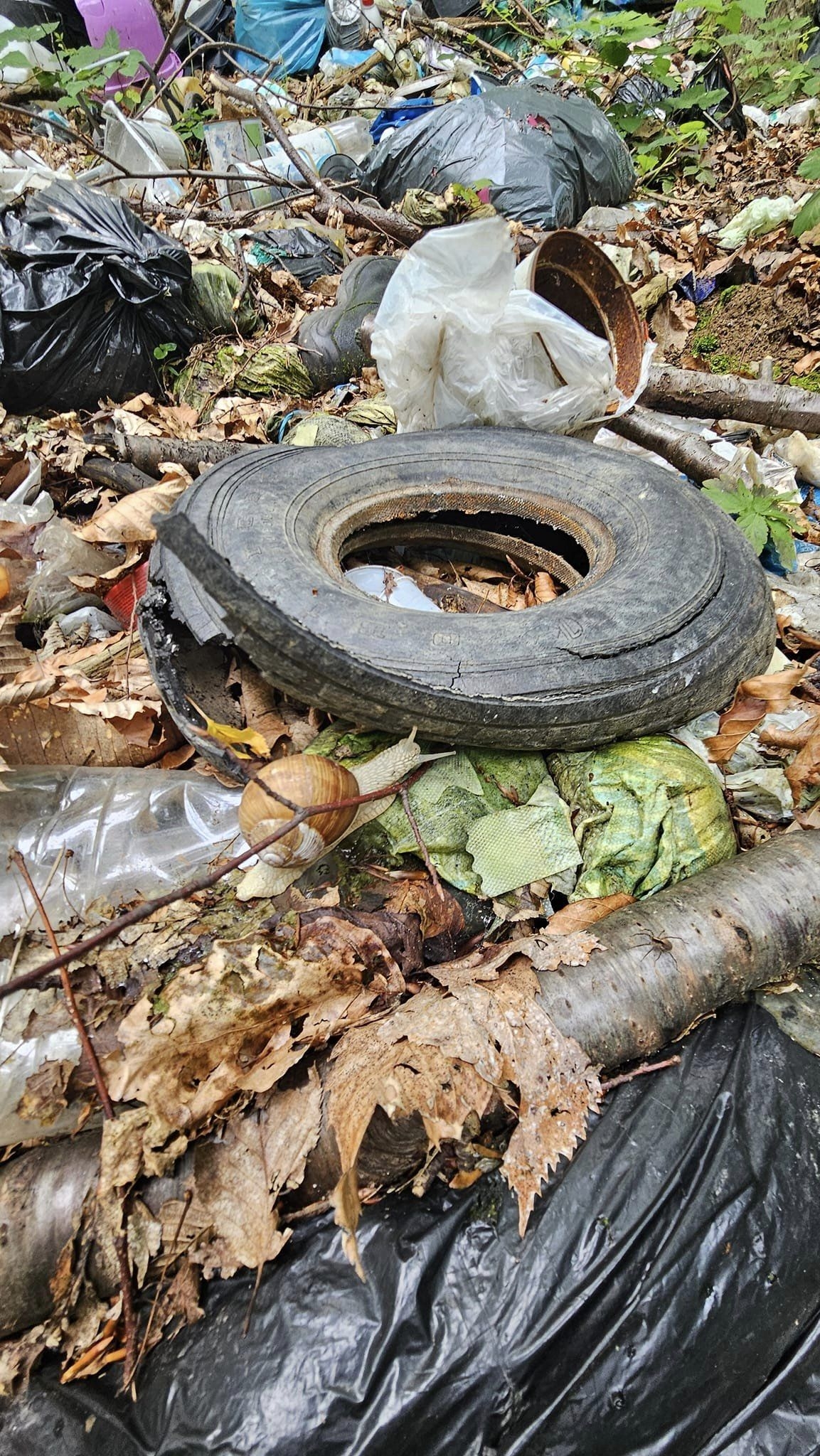 Šuma bez tragova – još jedna ekološka akcija HPD Gojzerica Požega