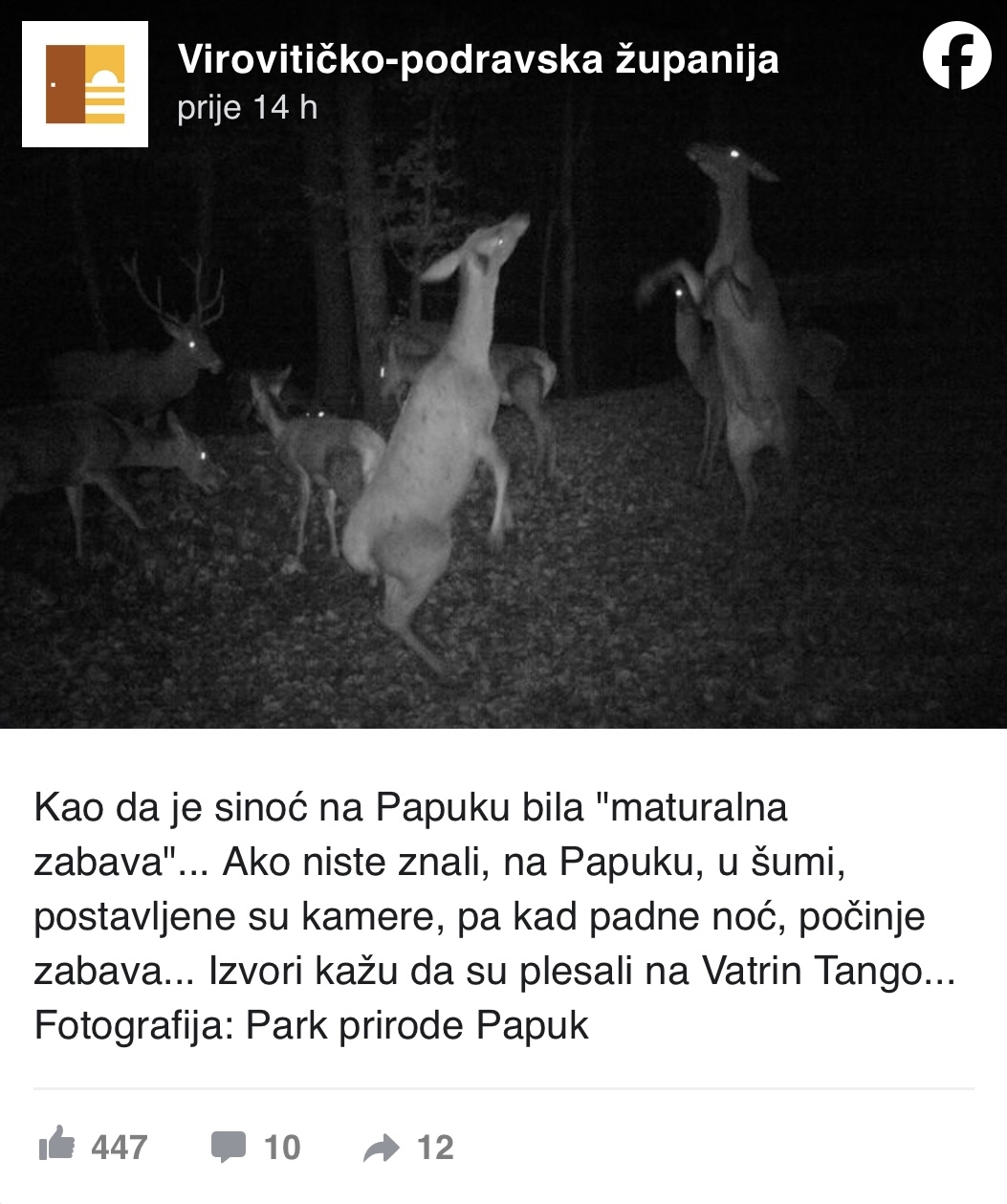 Ovako ’partijaju’ srne na Papuku