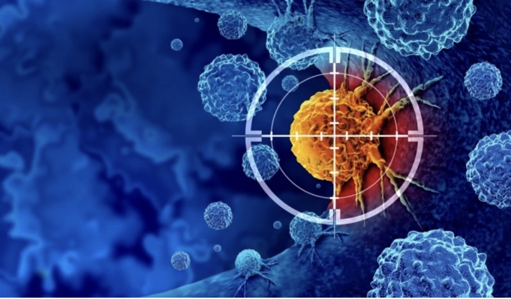 ODLIČNE VIJESTI: Uvodi se stanična imunoterapija tumora u Hrvatskoj