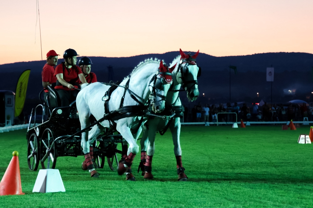 Održan Međunarodni konjički turnir u Pleternici- turnir svjetske klase