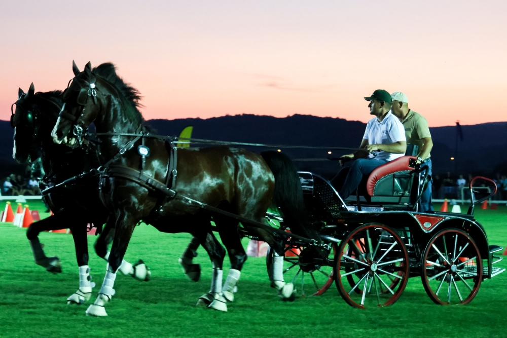 Održan Međunarodni konjički turnir u Pleternici- turnir svjetske klase