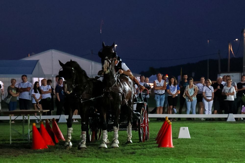 Održan Međunarodni konjički turnir u Pleternici- turnir svjetske klase
