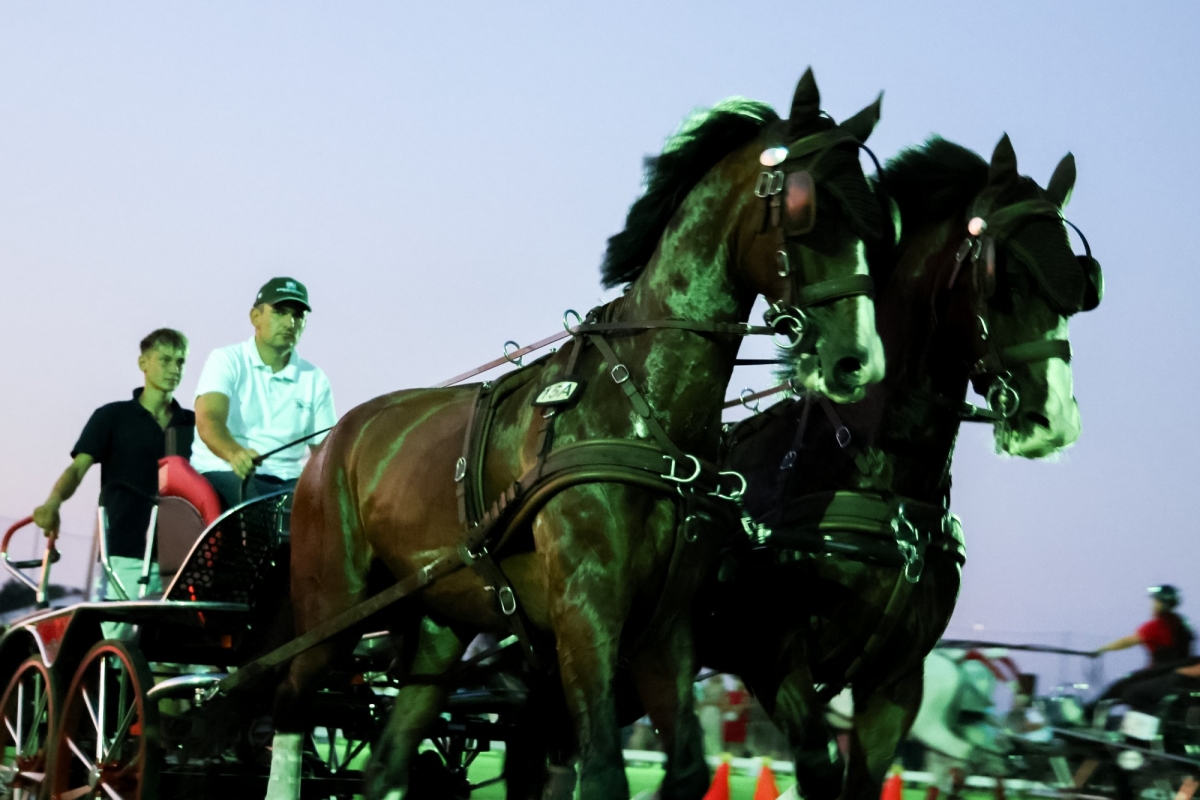 Održan Međunarodni konjički turnir u Pleternici- turnir svjetske klase
