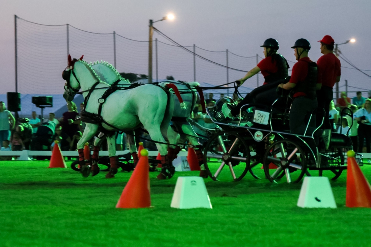Održan Međunarodni konjički turnir u Pleternici- turnir svjetske klase