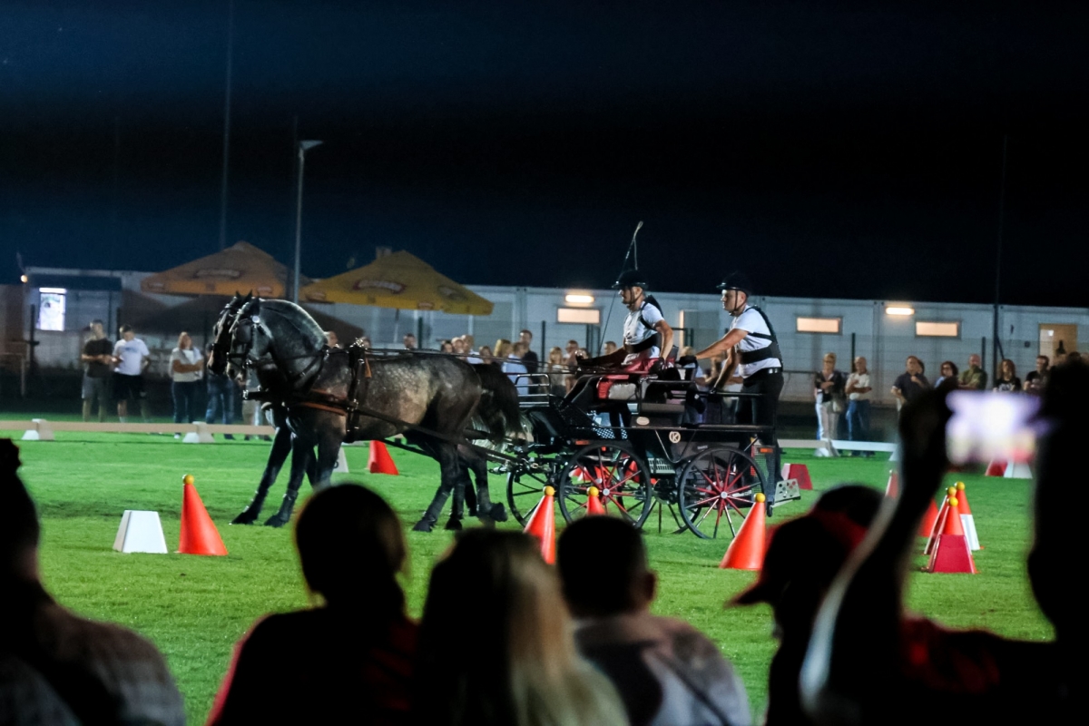 Održan Međunarodni konjički turnir u Pleternici- turnir svjetske klase