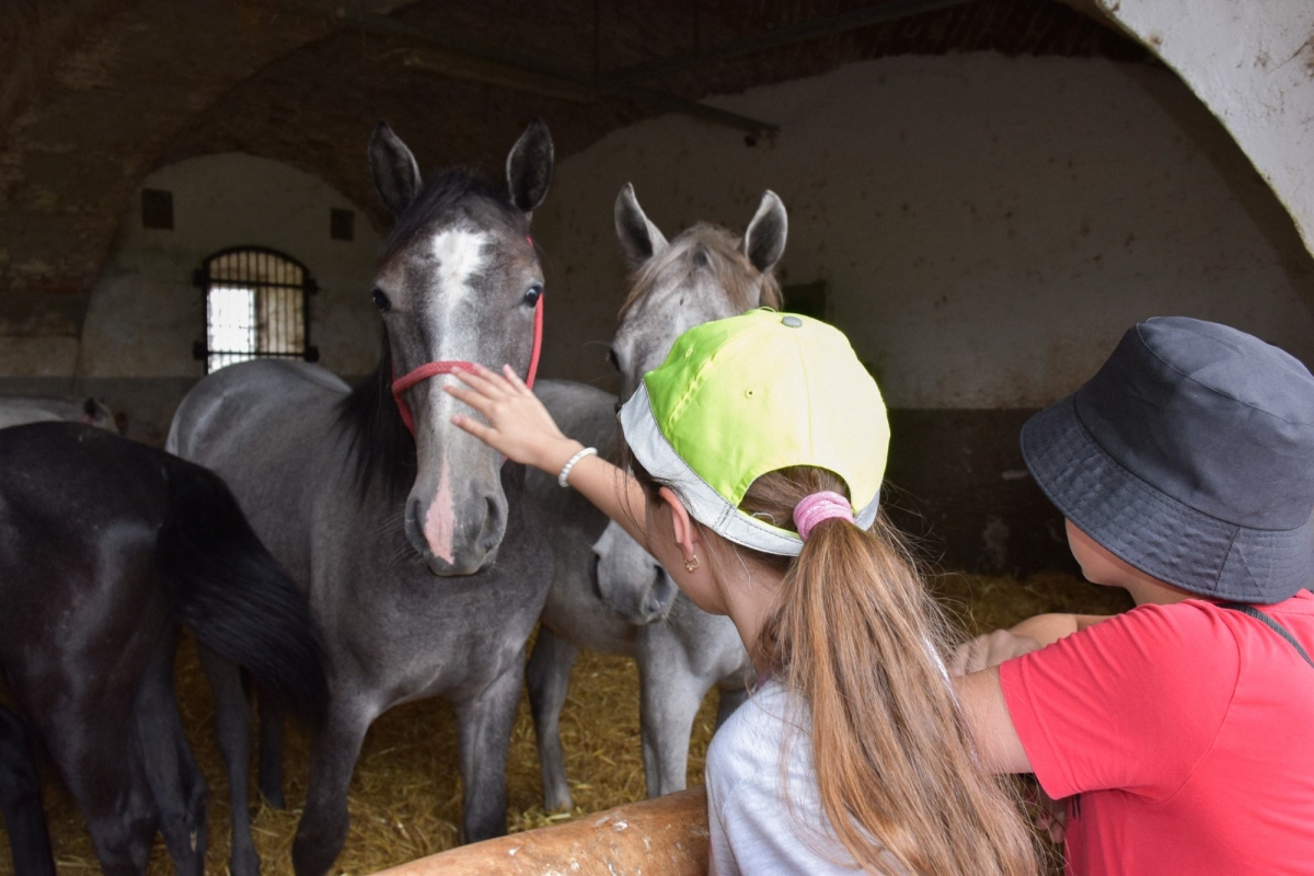 Posjet učenika iz Subotice Požeško-slavonskoj županiji
