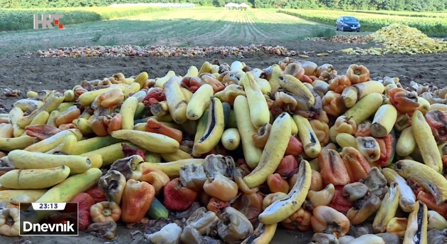 SAMO KOD NAS: Povrćari primorani tone povrća zaorati u zemlju