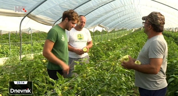 SAMO KOD NAS: Povrćari primorani tone povrća zaorati u zemlju