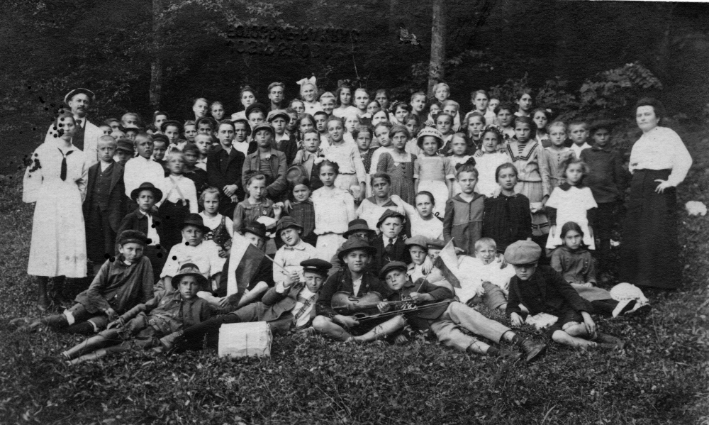 Malo o povijesti pakračkog ’zelenog mora’