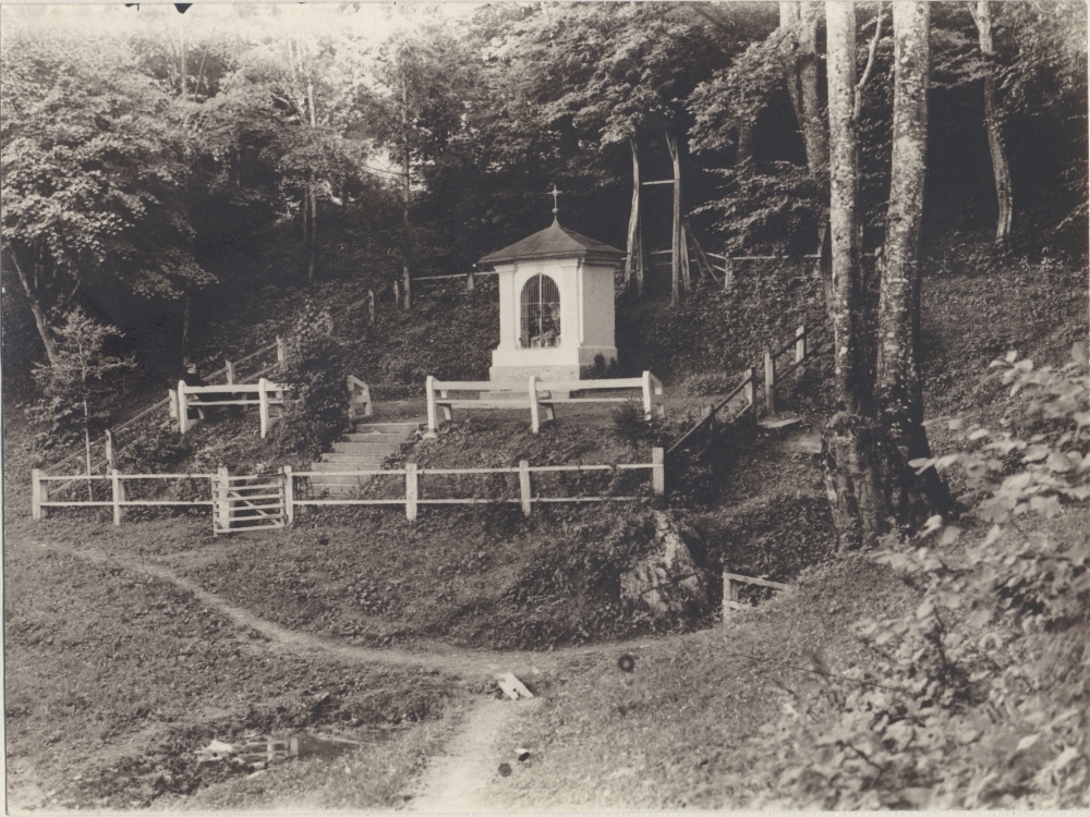 Malo o povijesti pakračkog ’zelenog mora’