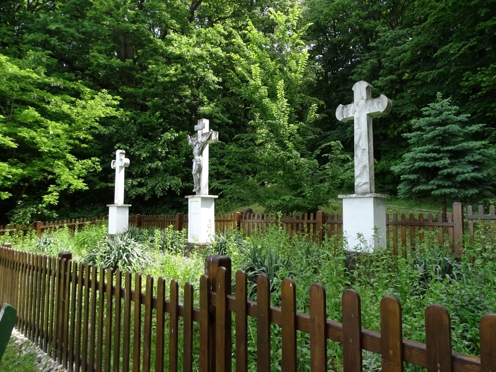 Malo o povijesti pakračkog ’zelenog mora’