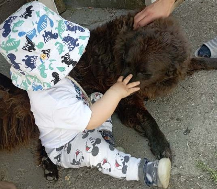 Naručujete li s TEMU-a? Slavonci otkrili tajne popularnosti najpoznatije globalne online trgovine