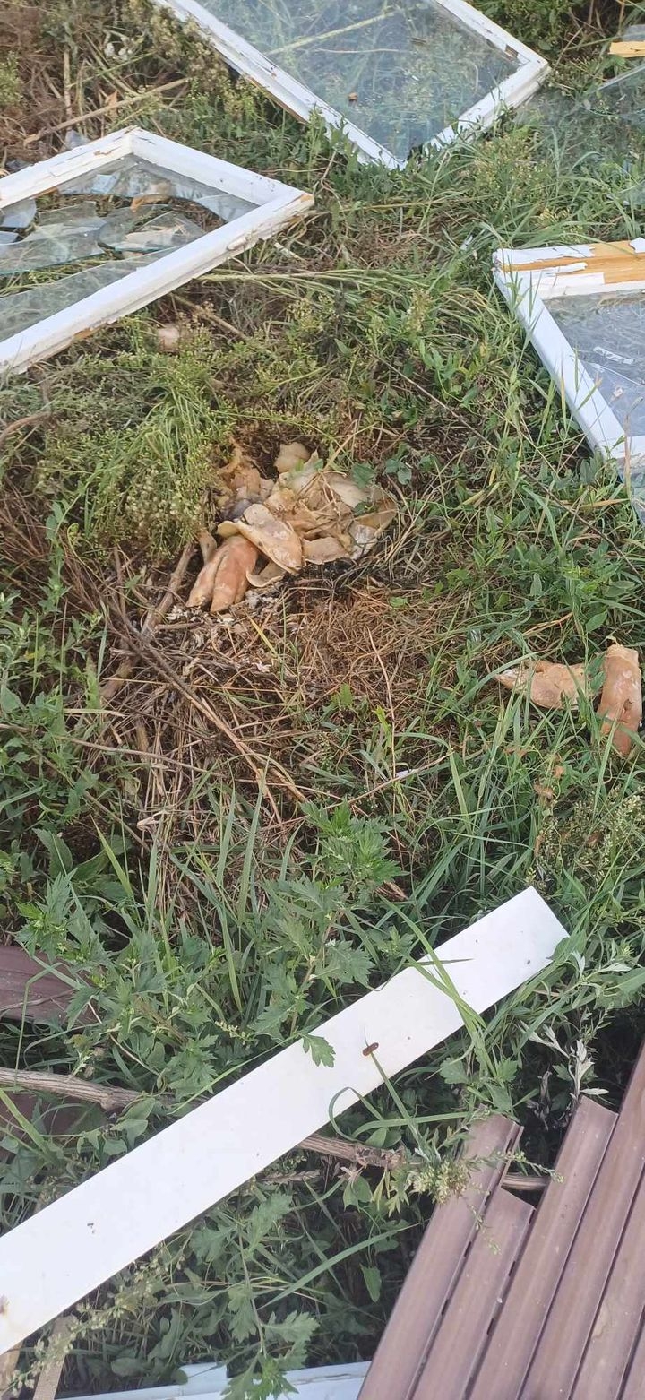 Stanari ulice u Dervišagi: ’Naša svakodnevica su ulica bez asfalta i divlji deponij!’