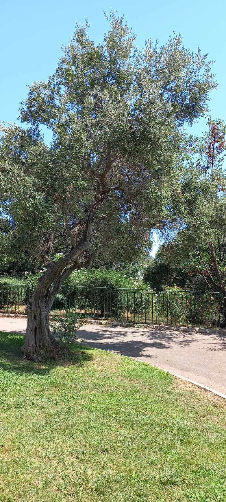 Profesorica požeške Tehničke škole boravila u francuskoj Nici u sklopu Erasmusa