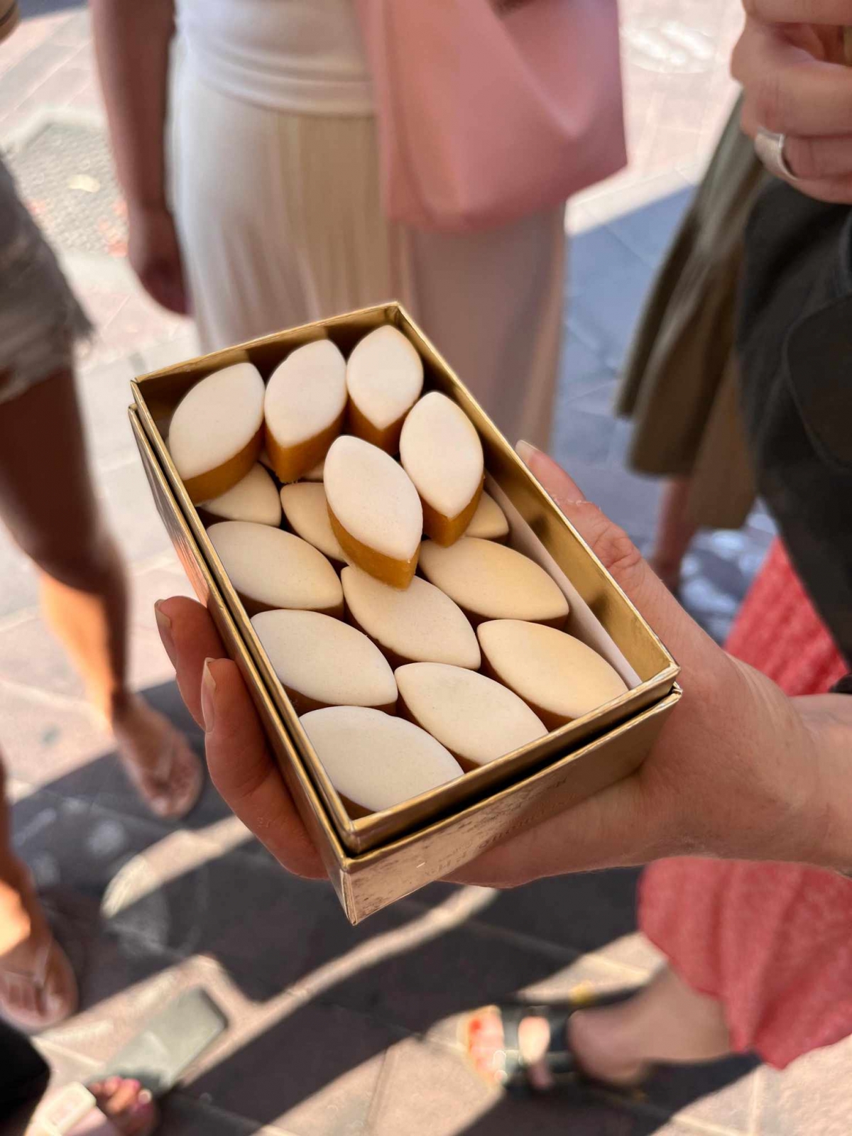 Profesorica požeške Tehničke škole boravila u francuskoj Nici u sklopu Erasmusa