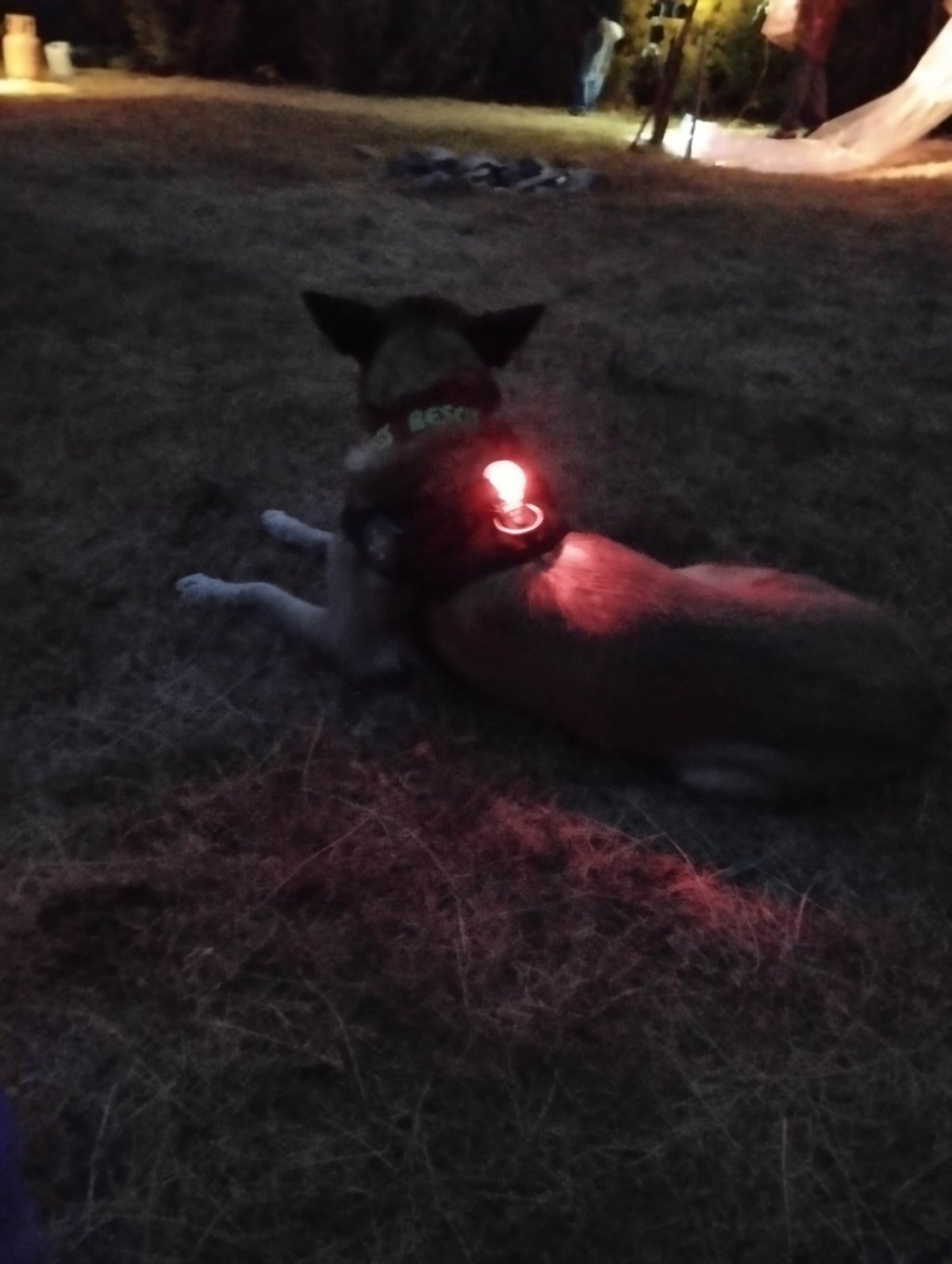 70-ak planinara na 15. Astro Partyju na Metaljci