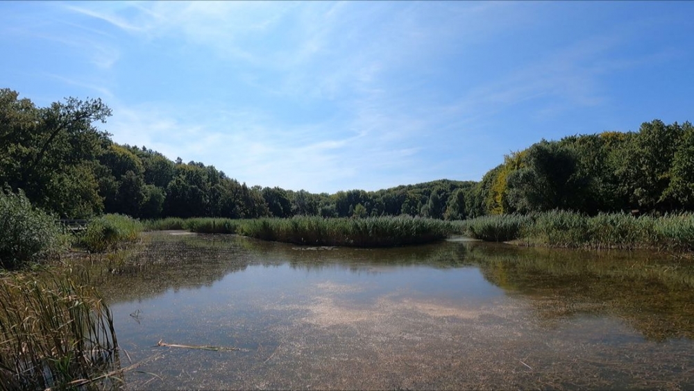 Borba za Sovsko jezero: Ustali protiv apartmanizacije omiljenog Modrog oka Slavonije